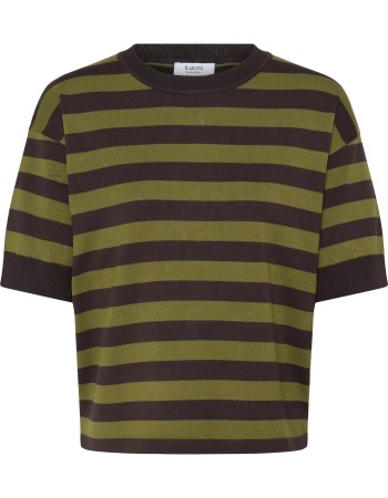 Trui Top Fijn Gebreid Stripe Avocado Java