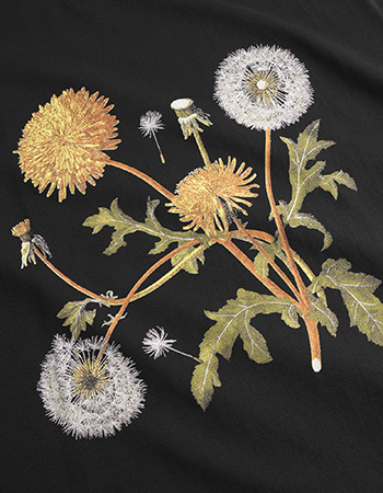 T‑shirt Visby Dandelions Black detail