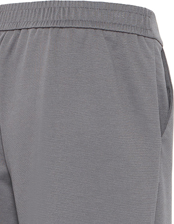 Pantalon Leonie Gray Pinstripe detail