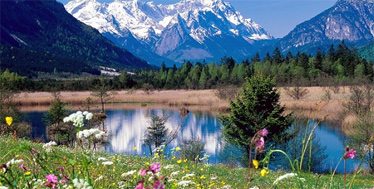 engel natur
