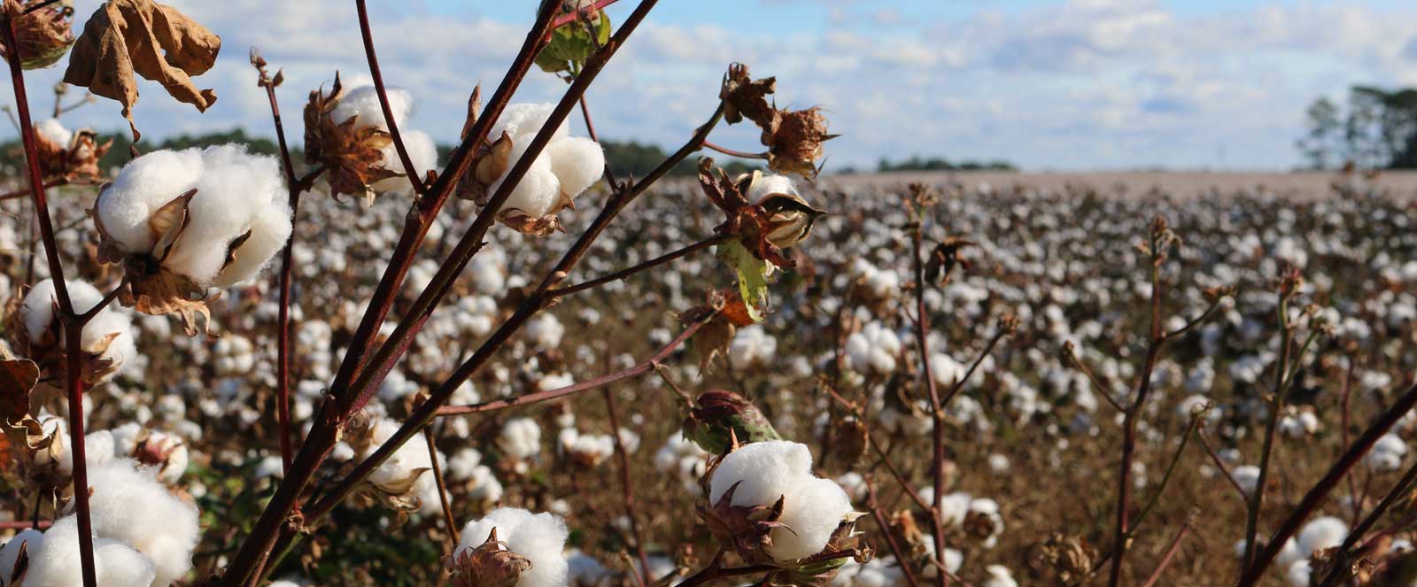 Aanvankelijk Spoedig Regeringsverordening watMooi - Fairtrade mode; kleding maakt een verschil