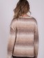 alpaca trui 