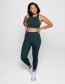 BH Sport Topenga Moss