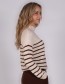 Trui Tolouse Stripe Bronze Pale