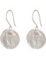Oorbellen Precious Labradorite Silver