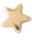 Oorbel Star Sterling Silver Gold&#8209;Plated