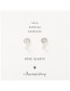 Oorbellen Mini Coin Rose Quartz Silver