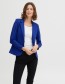 Blazer Zablazer Bellwether Blue