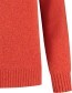 Trui  Gerecycled Wol Ritorti Red detail