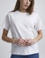 T-shirt Pzbrit Bright White
