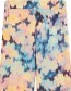 Pantalon Ale Ikat Field Multi Color detail