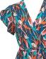 Jurk Eleza Lamba Colours detail