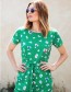 Jurk Flissy Leopard Pop Green
