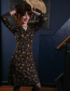 Jurk Marilyn Retro Birds Brown