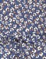 Jurk Jarina Manusch Blue detail