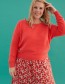 Rok Bina Poppies Red