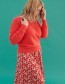 Rok Bina Poppies Red
