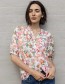Blouse Frmerla Firecracker Mix