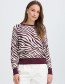 Zebraprint trui B.Young aubergine wit, duurzame mode watMooi