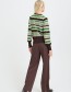Duurzame damesmode: trui met zigzagprint van B.Young