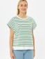 Top Forever Stripe Green