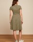 Jurk Emmy Indy Delphinium Green