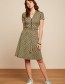 Jurk Emmy Indy Delphinium Green