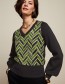 Trui Hollis V Neck Posey Green