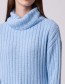 Trui Jana Blue Bell
