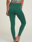 legging palmleaf