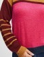 Trui Pzastrid Color Block Multi Color