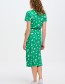 Jurk Lauretta Tropical Safari Black