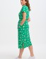 Jurk Lauretta Tropical Safari Black
