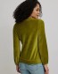 Trui Velours Loose Nicki Golden Cypress
