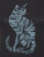 T&#8209;shirt Cat Zwart detail