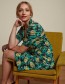 Jurk Pica Diner Black Green