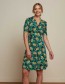 Jurk Pica Diner Black Green