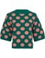 Trui Roma 3/4 Mouw Polka Pink Green