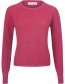 Trui Emillia Gerecycled Wol Red Pink