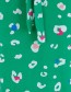Jurk Flissy Leopard Pop Green detail