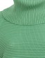 Trui Merino Tamala Reed Green detail