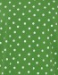 T&#8209;shirt Driekwart Mouw Frsiva Polka Lime detail