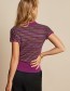 T-shirt Ann Polo Bee Stripe Purple