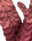Handschoenen Wol Wine detail